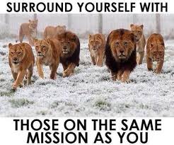 Surround Yourself with those on the same mission as you