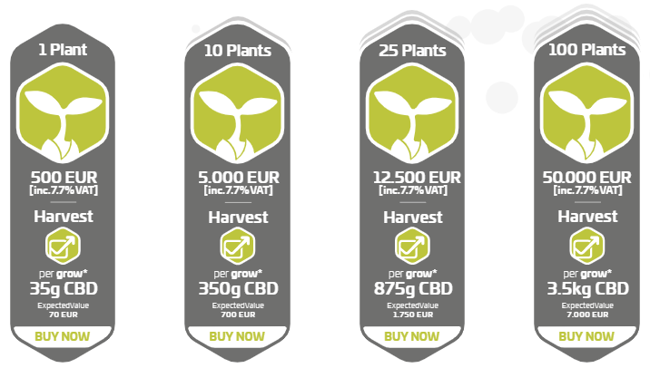 What Is CannerGrow? - Pricing