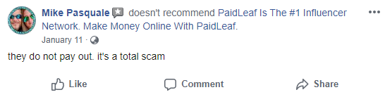Is PaidLeaf A Scam? - They Are Not Paying