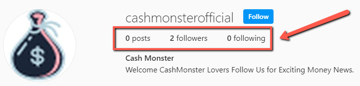 What Is Cash Monster? - Instagram Followers