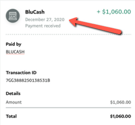 Blucash.co Review - Another Fake Payment Proof