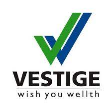What Is Vestige All About